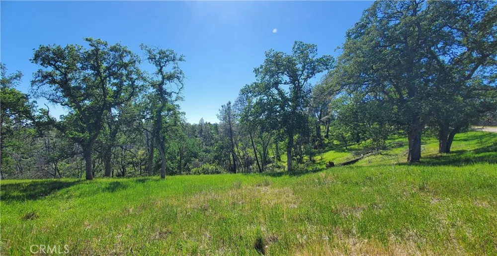 15687 Stagecoach Corning, CA 96021