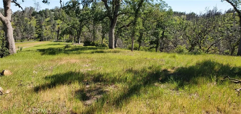 15687 Stagecoach Corning, CA 96021