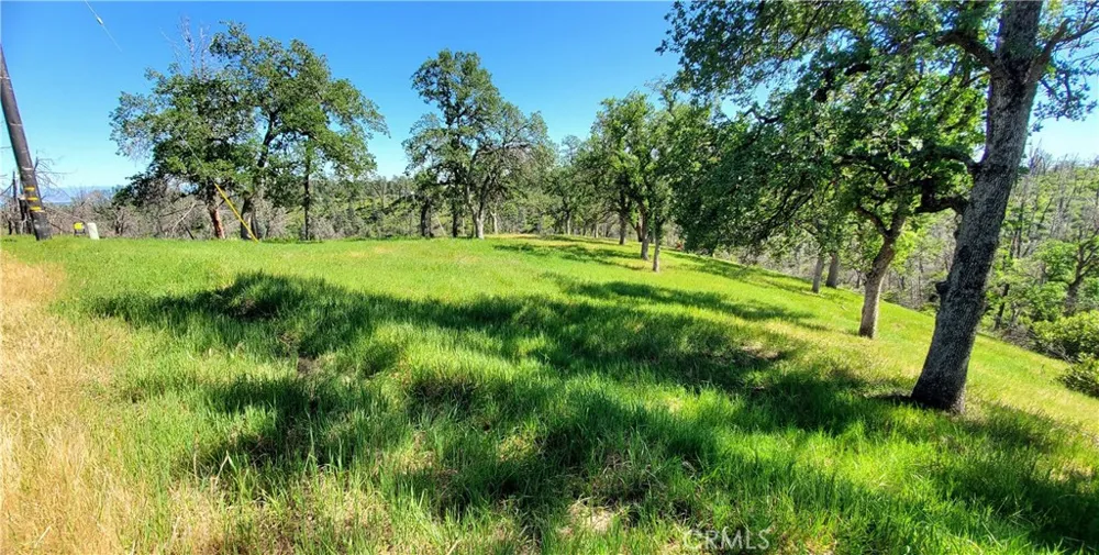 15687 Stagecoach Corning, CA 96021