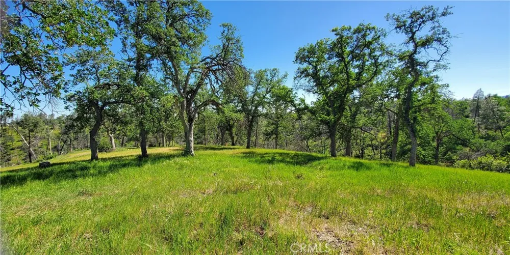 15687 Stagecoach Corning, CA 96021