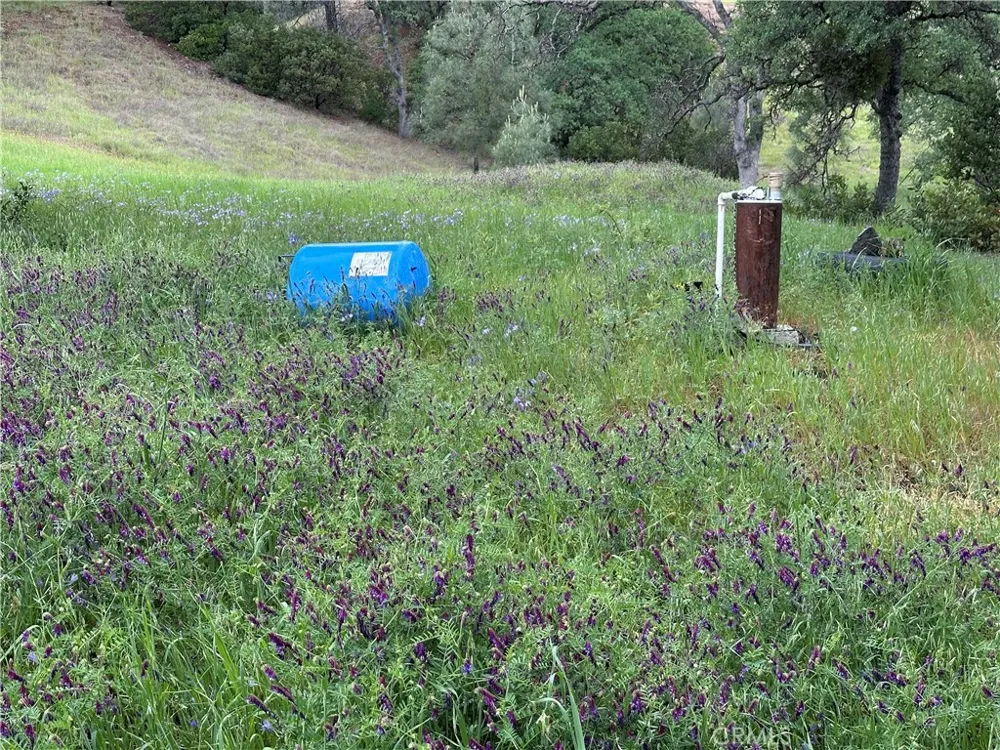 666 Watertrough Road Clearlake Oaks, CA 95423