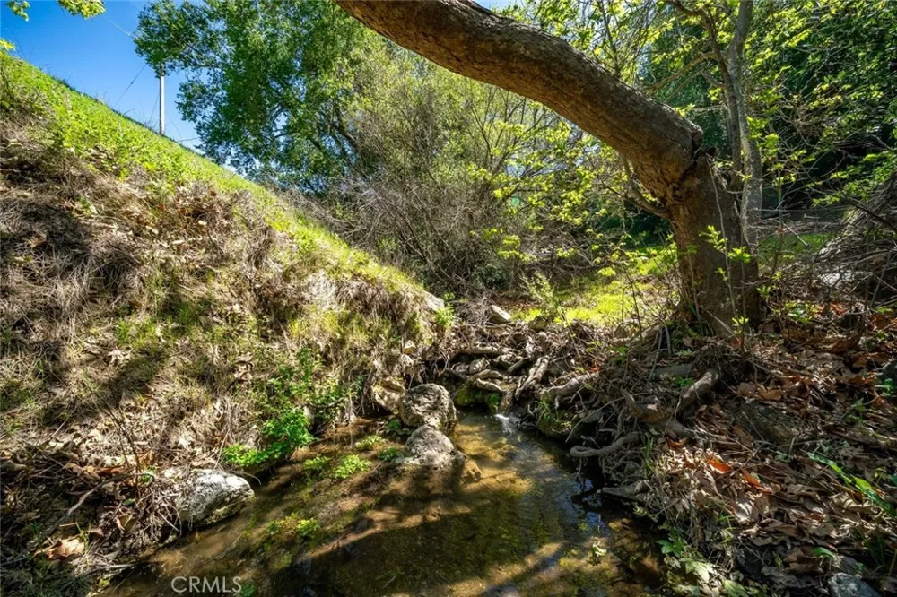 9190 Arroyo del Mar Cambria, CA 93428