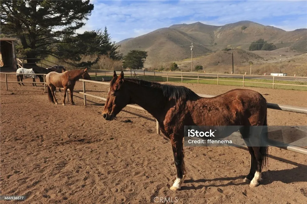 1785 Scenic View Way Nipomo, CA 93444