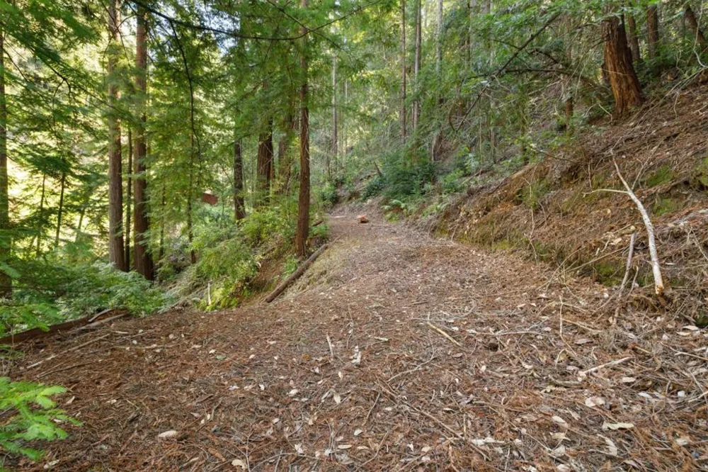 2950 Bear Canyon Road Los Gatos, CA 95033