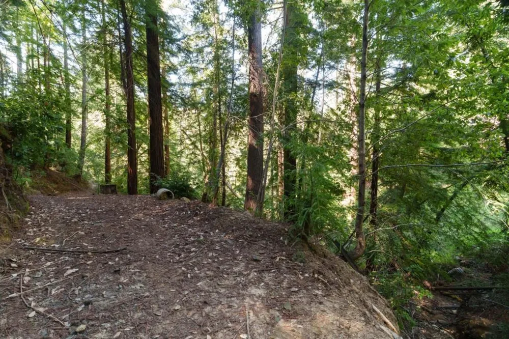 2950 Bear Canyon Road Los Gatos, CA 95033