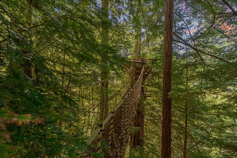 2950 Bear Canyon Road Los Gatos, CA 95033