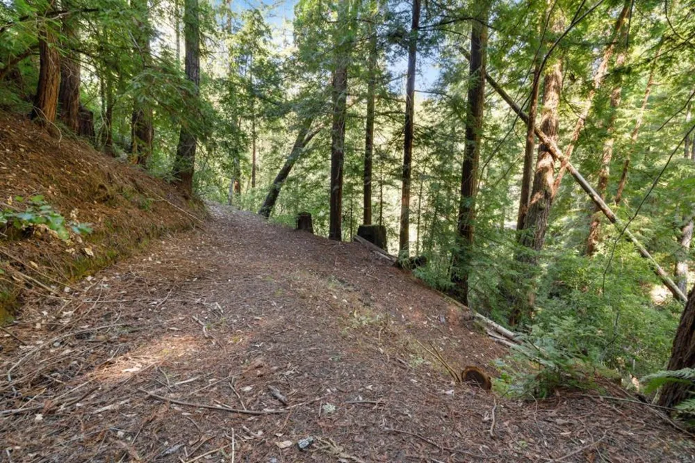 2950 Bear Canyon Road Los Gatos, CA 95033
