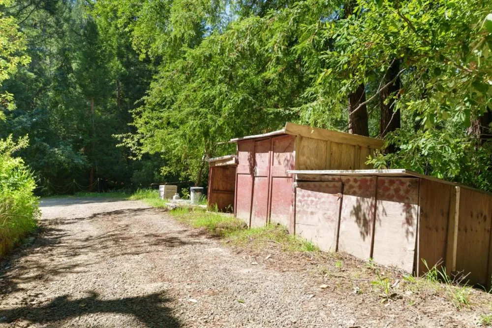 2950 Bear Canyon Road Los Gatos, CA 95033