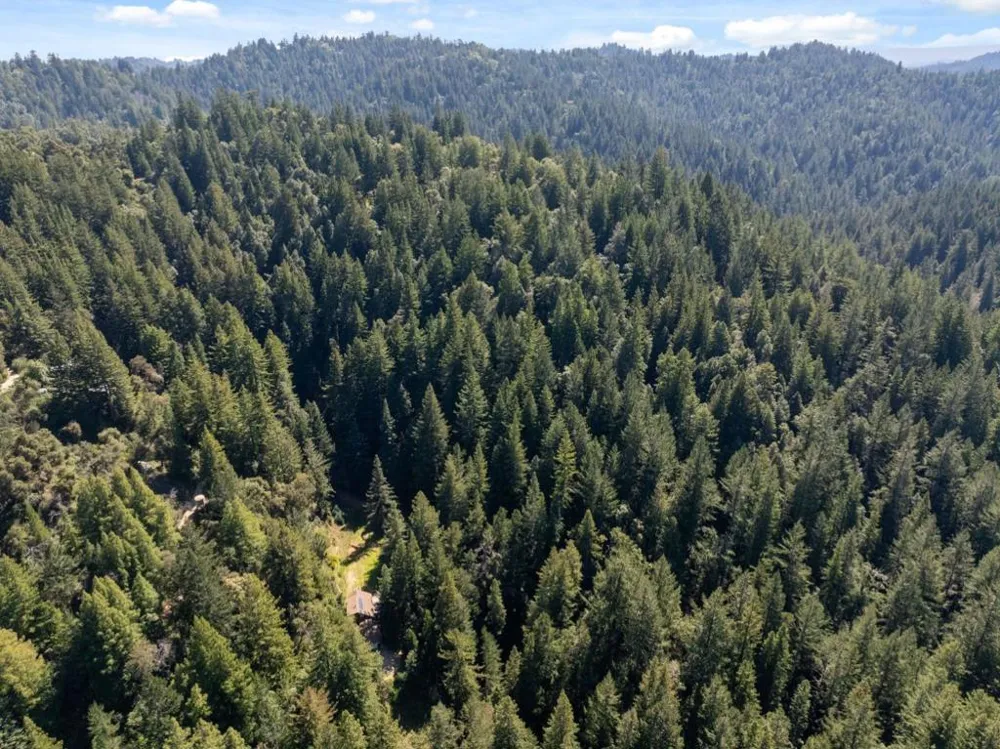 2950 Bear Canyon Road Los Gatos, CA 95033