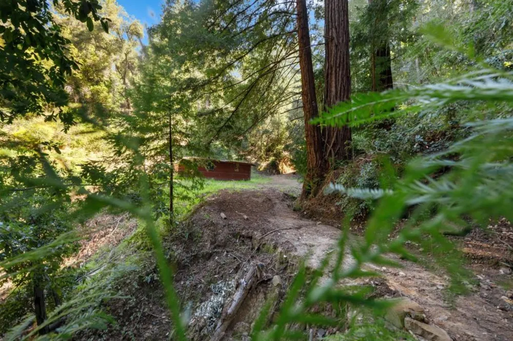 2950 Bear Canyon Road Los Gatos, CA 95033