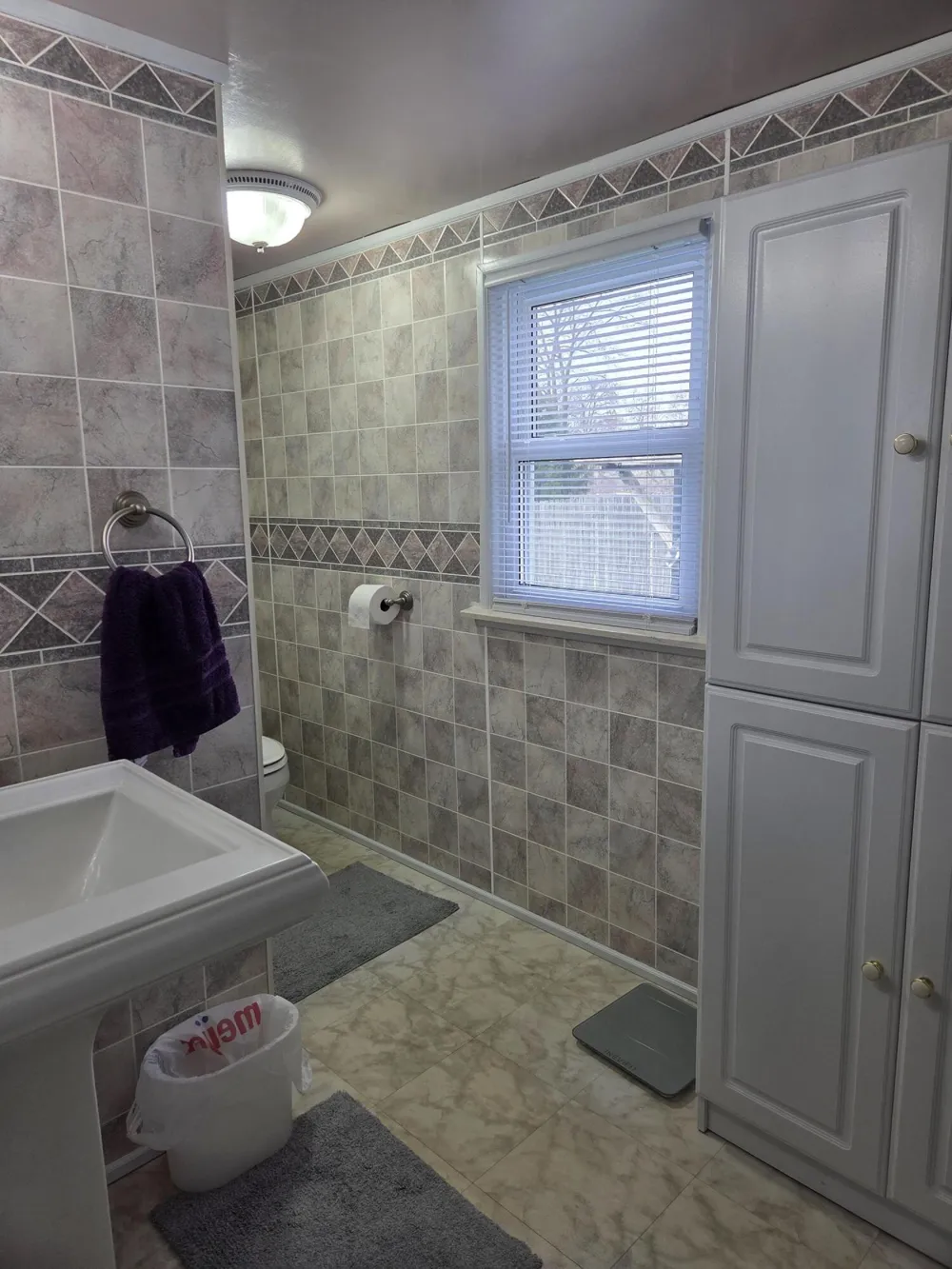 232 Bender Street Leoni Township, MI 49202