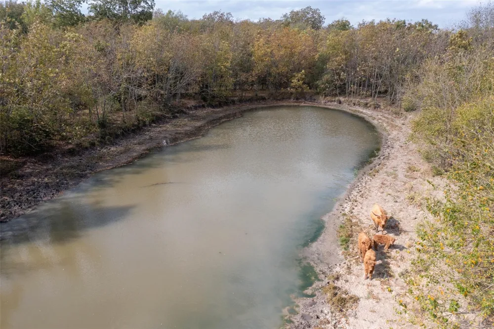 4081 Fm 2736 Campbell, TX 75422