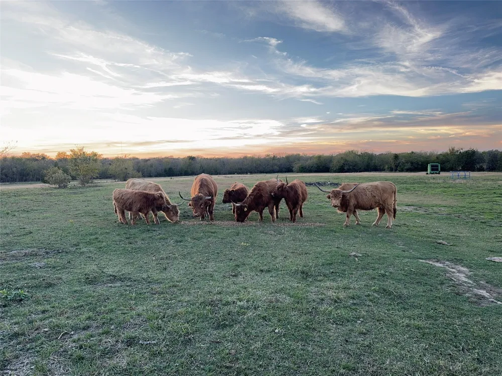4081 Fm 2736 Campbell, TX 75422