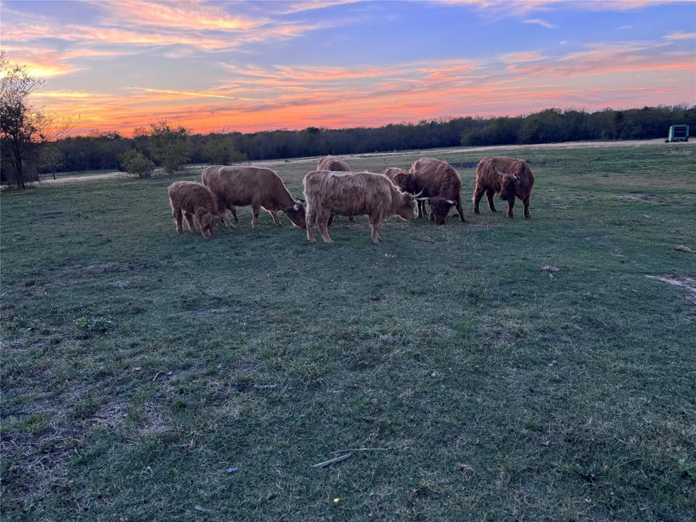 4081 FM 2736 #A Campbell, TX 75422