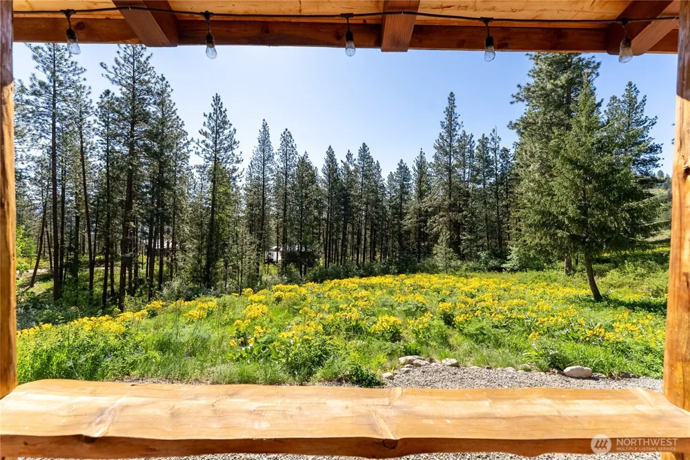 23 Whitebark Lane Winthrop, WA 98862