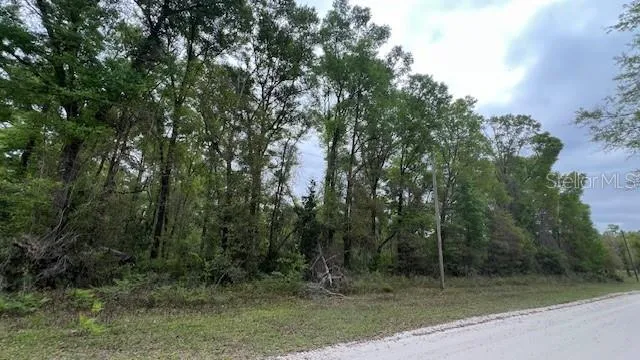 NW 37 COURT Branford, FL 32008