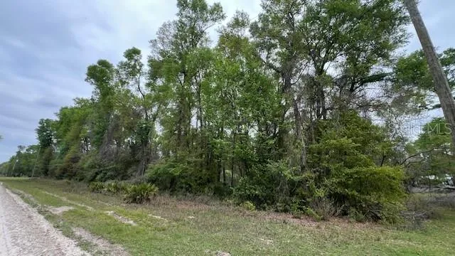 NW 37 COURT Branford, FL 32008