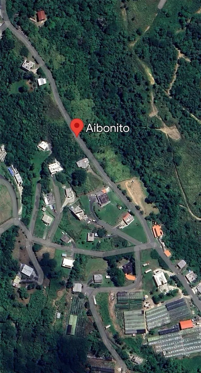 CARR. 723,2.3 INT. Aibonito, PR 00705