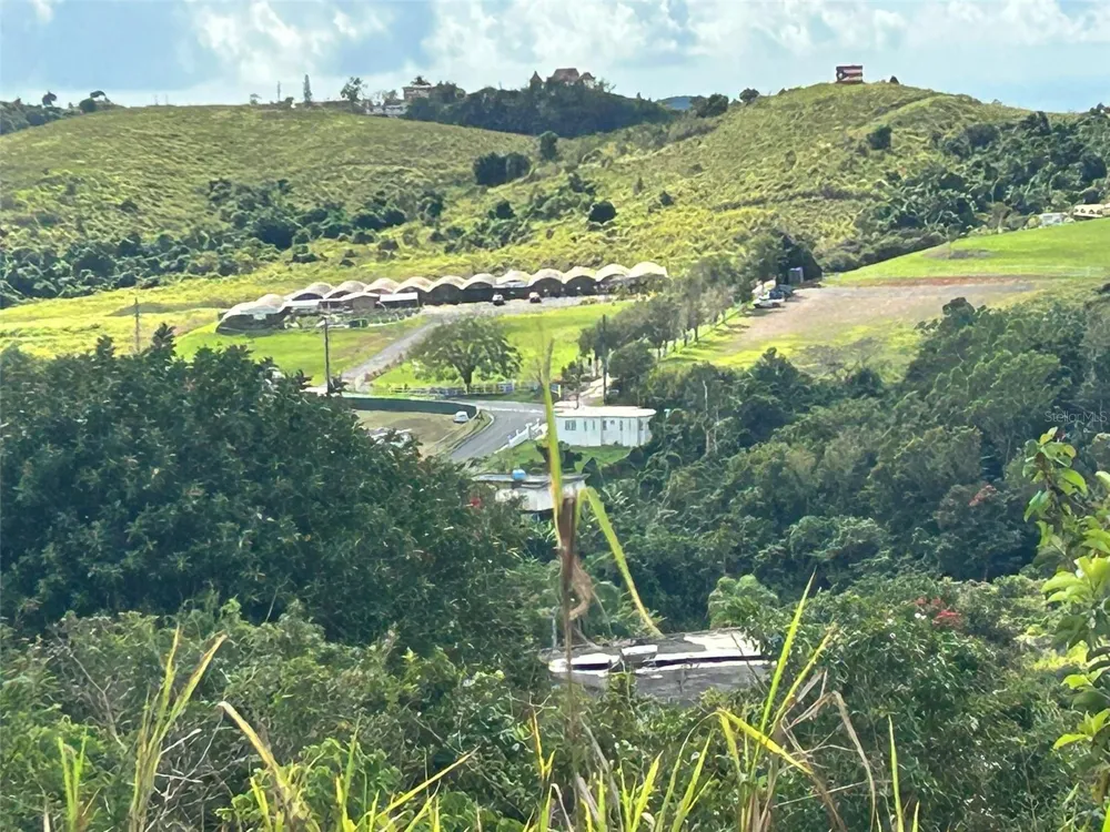 CARR. 723,2.3 INT. Aibonito, PR 00705