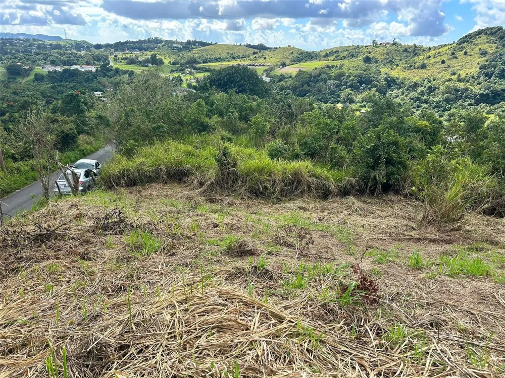 CARR. 723,2.3 INT. Aibonito, PR 00705