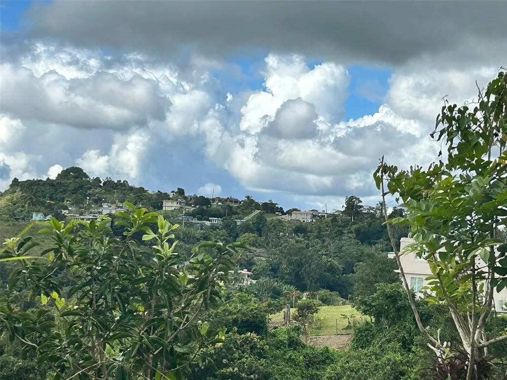 CARR. 723,2.3 INT. Aibonito, PR 00705
