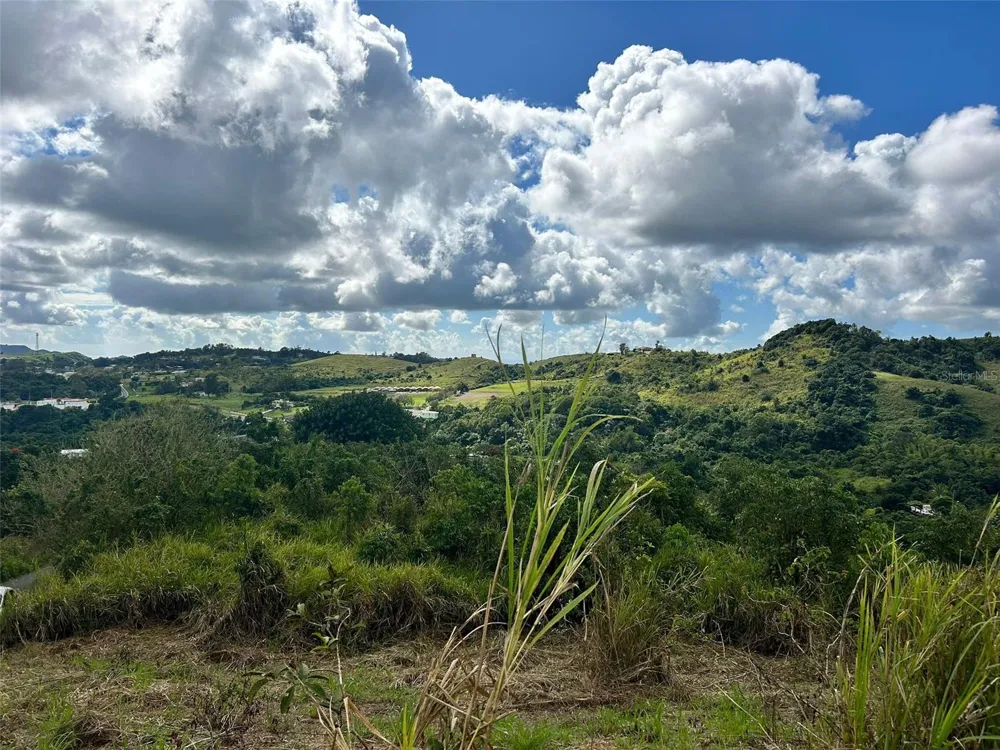 CARR. 723,2.3 INT. Aibonito, PR 00705