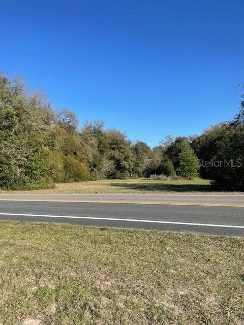 31415 ORANGE STREET Sorrento, FL 32776