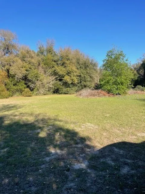 31415 ORANGE STREET Sorrento, FL 32776