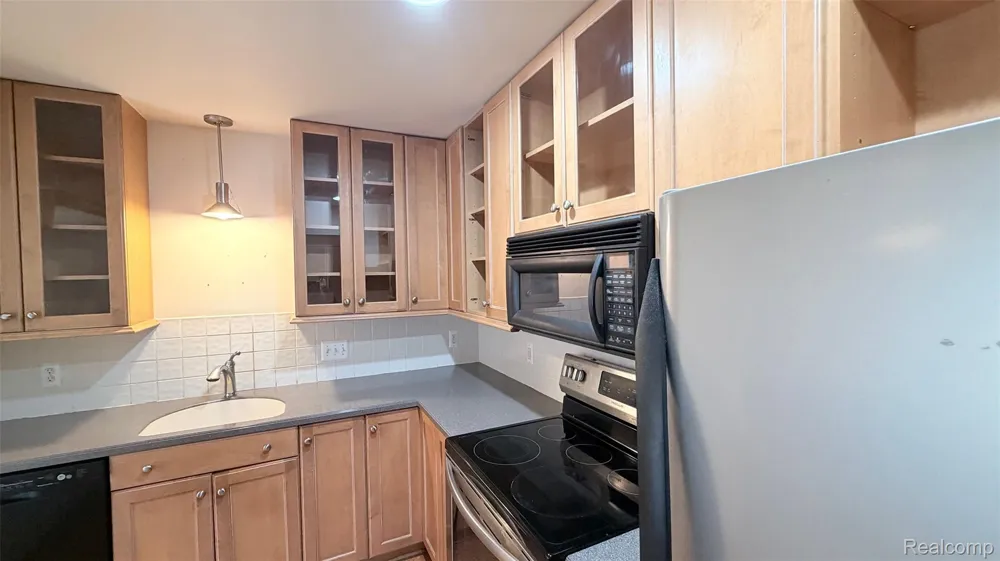 24219 Evergreen Road #39 Southfield City, MI 48075