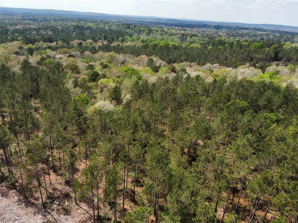 Fm 138 Center, TX 75935