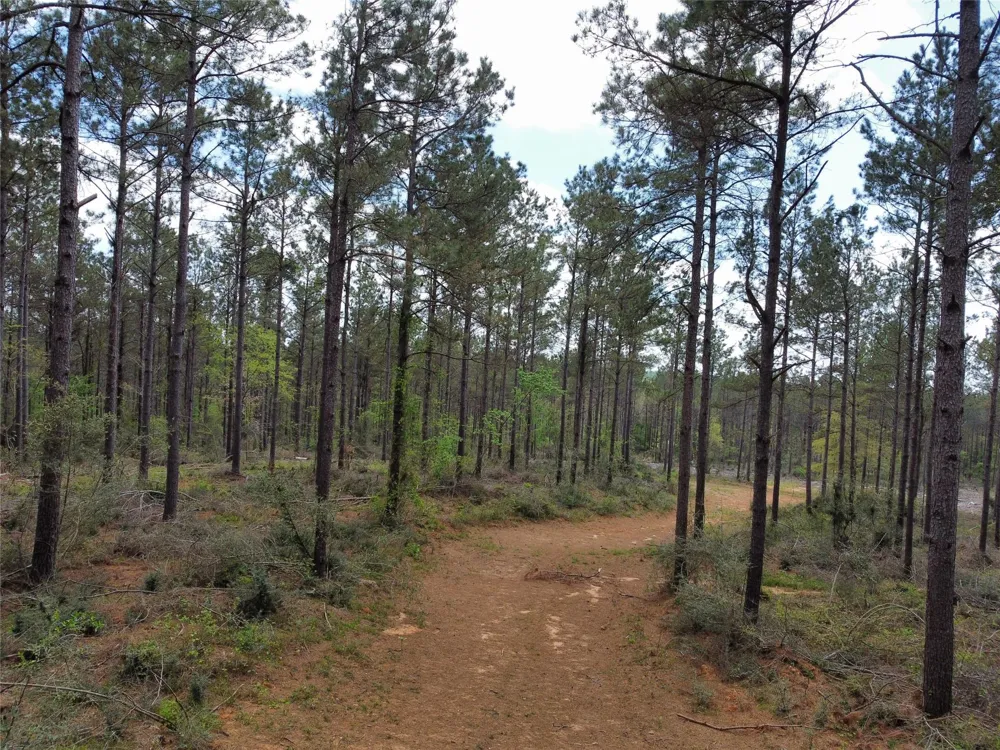 Fm 138 Center, TX 75935