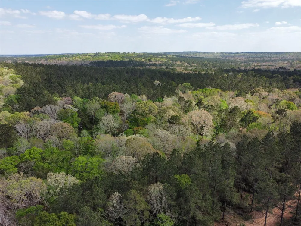 Fm 138 Center, TX 75935