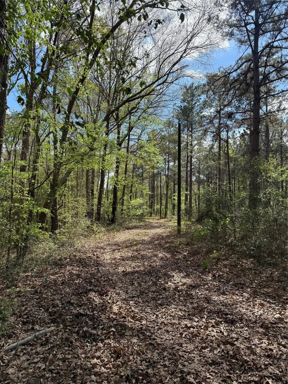 Fm 138 Center, TX 75935