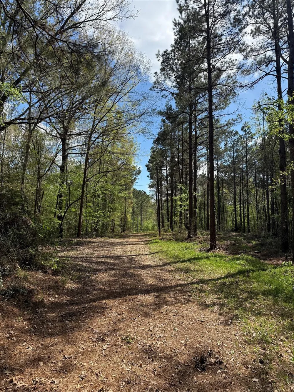 Fm 138 Center, TX 75935