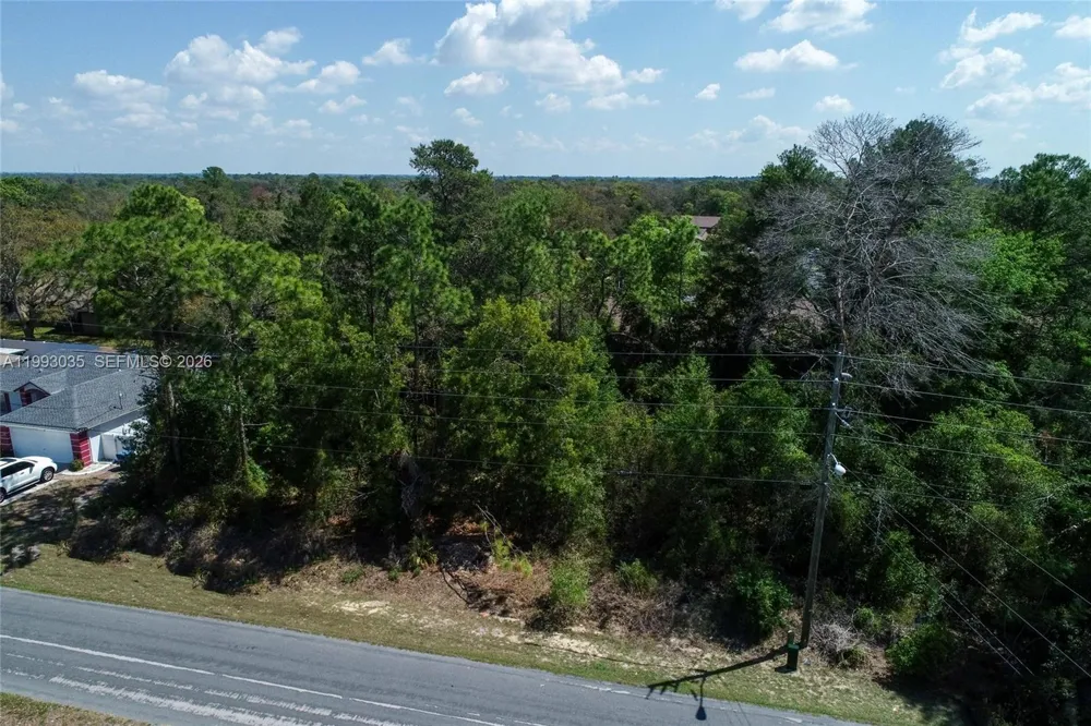 1 TOMAHAWK AVE Spring Hill, FL 34606