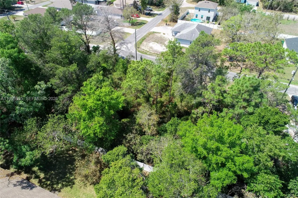 1 TOMAHAWK AVE Spring Hill, FL 34606
