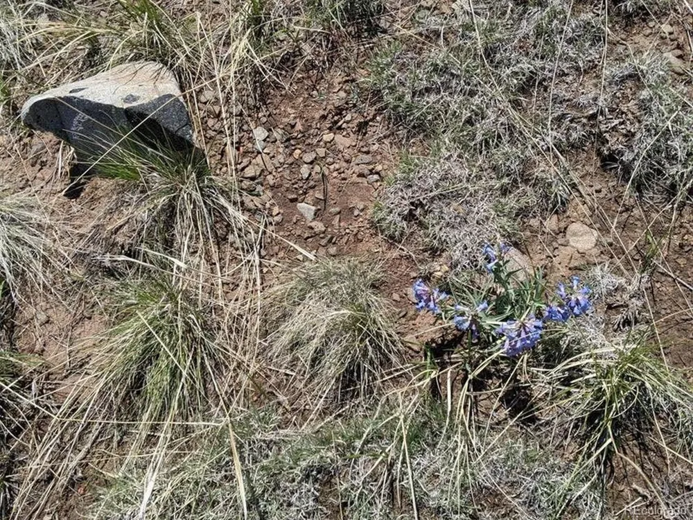 Majors Ranch, Lot 31-B Walsenburg, CO 81089