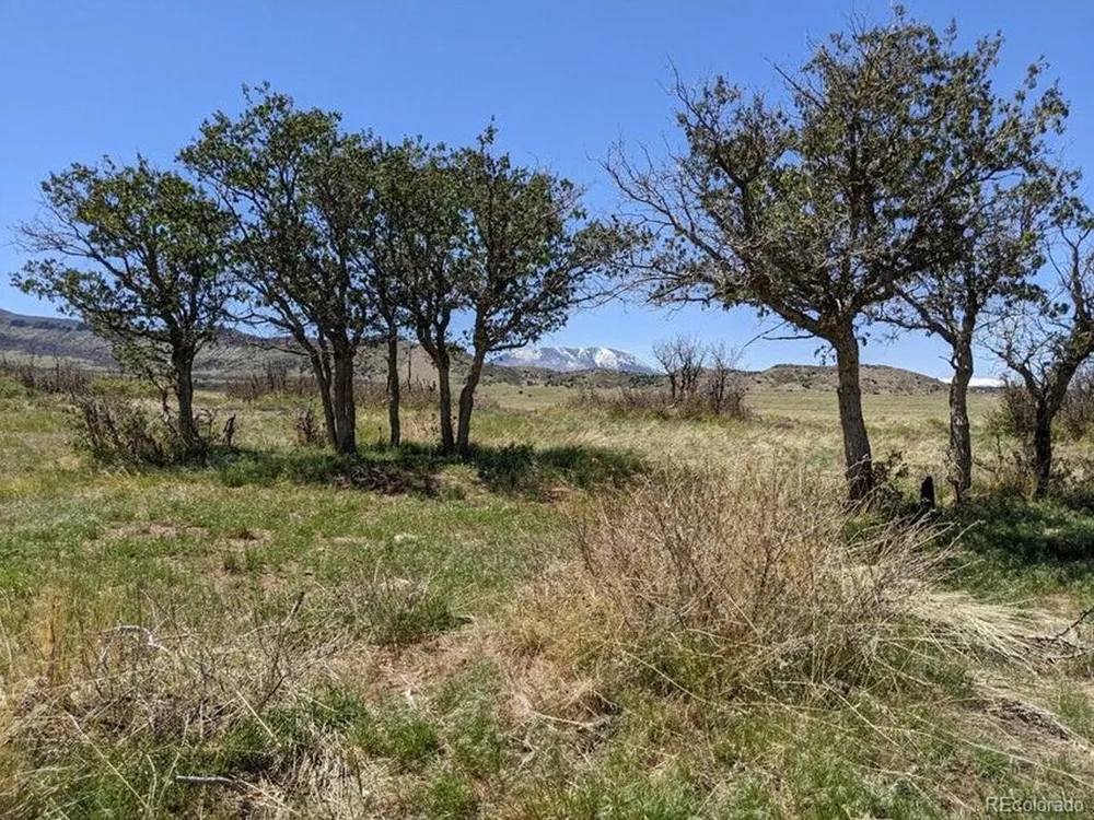 Majors Ranch, Lot 31-B Walsenburg, CO 81089