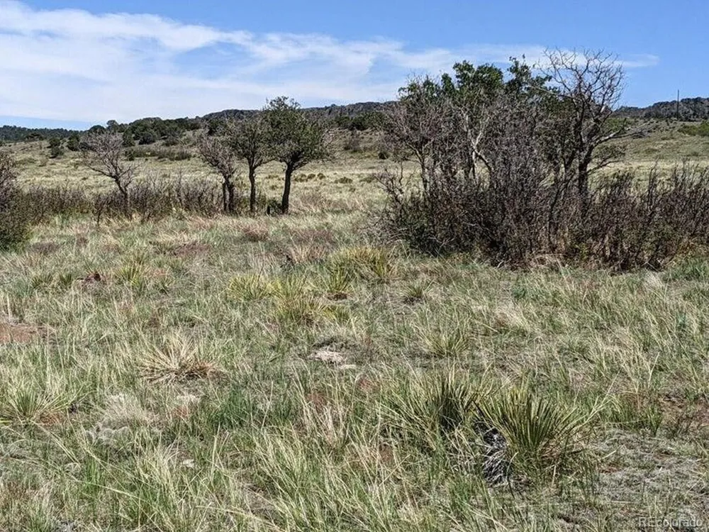 Majors Ranch, Lot 31-B Walsenburg, CO 81089