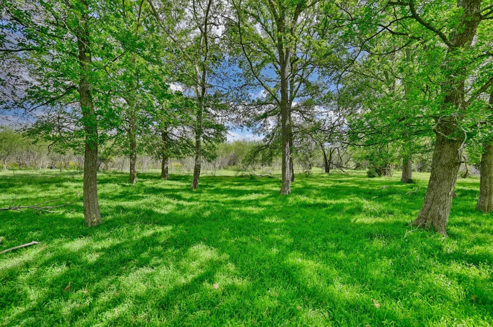 Roadrunner Lane Sealy, TX 77474
