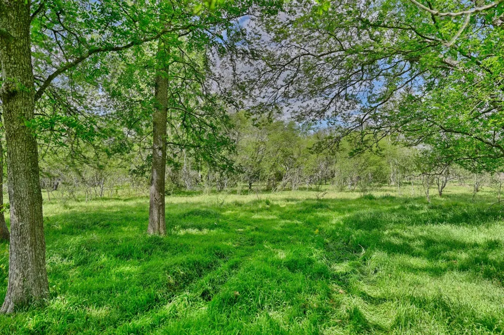 Roadrunner Lane Sealy, TX 77474
