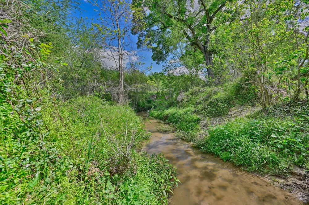 Roadrunner Lane Sealy, TX 77474