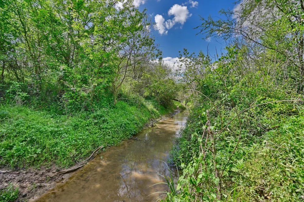 Roadrunner Lane Sealy, TX 77474