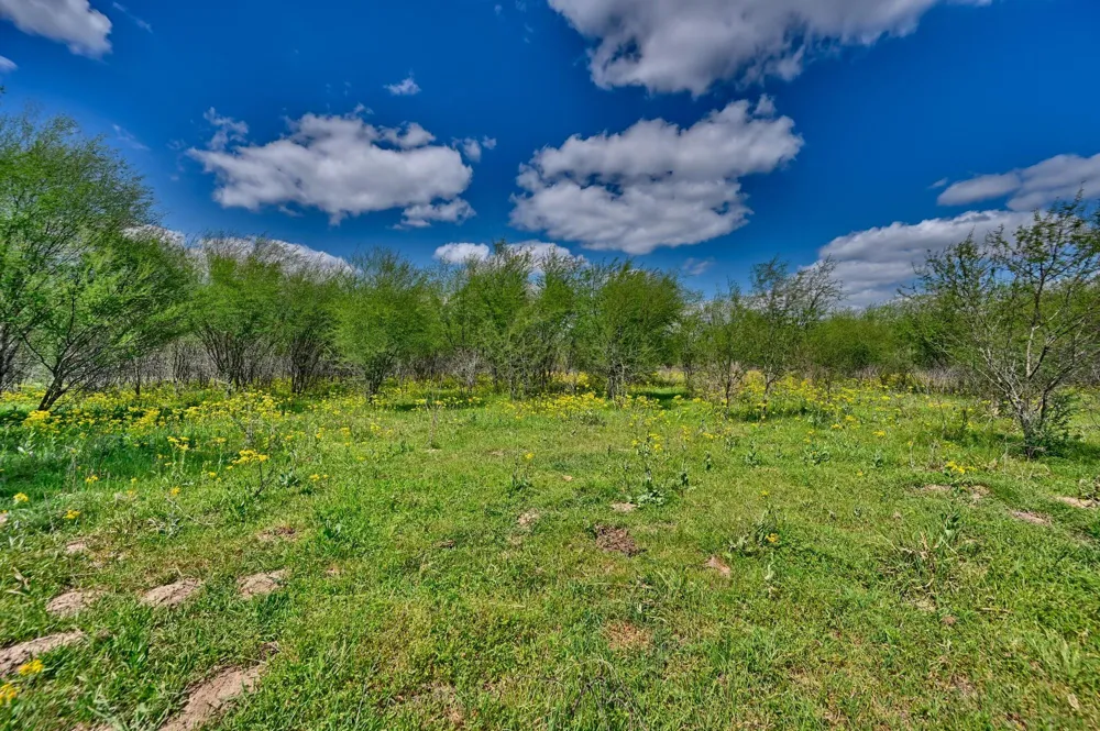 Roadrunner Lane Sealy, TX 77474