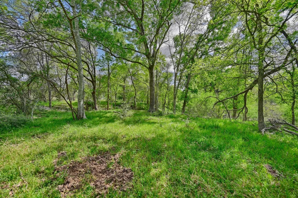 Roadrunner Lane Sealy, TX 77474