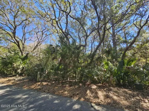32 Dowitcher Trail