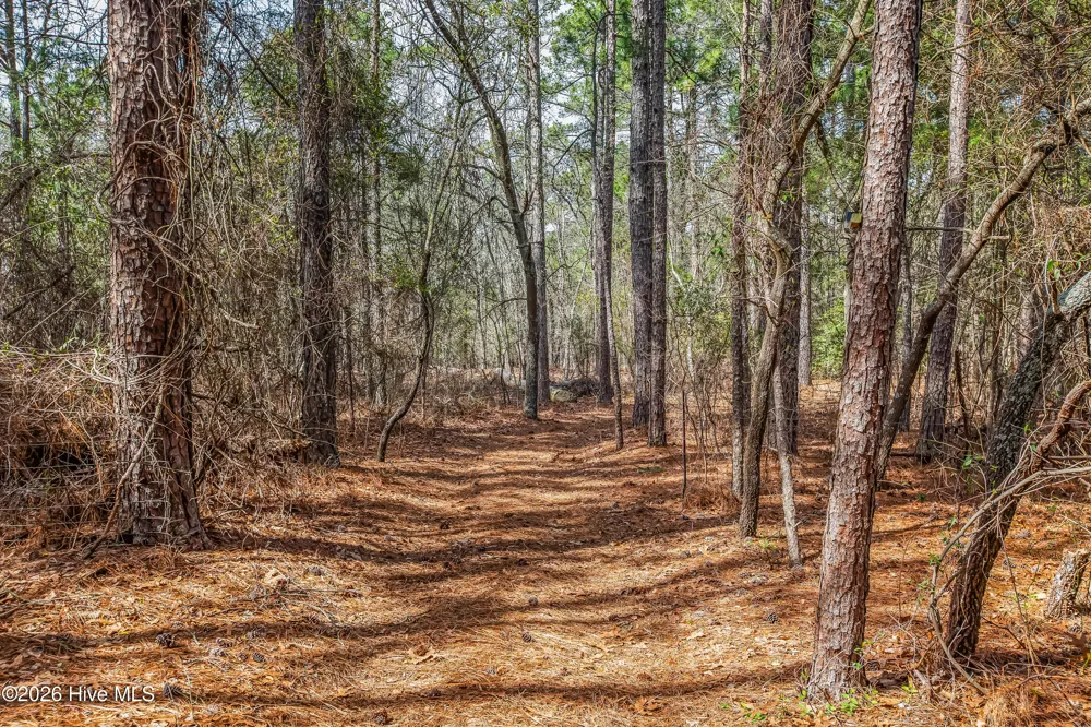 526 Springhill Church Road Hamlet, NC 28345