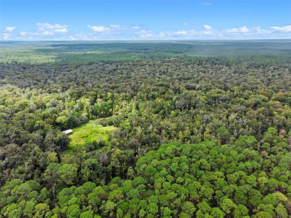 NFS 73 / ALCO ROAD Astor, FL 32102
