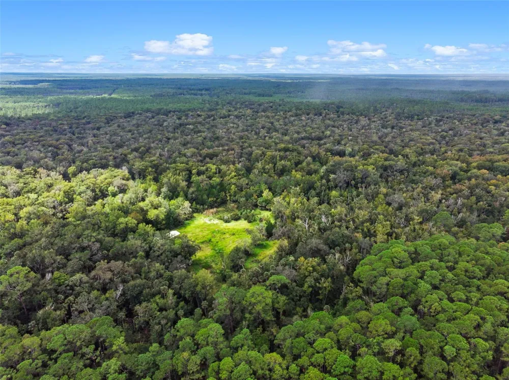 NFS 73 / ALCO ROAD Astor, FL 32102