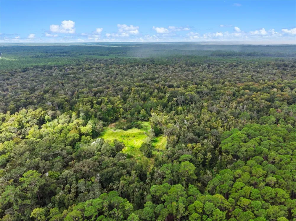 NFS 73 / ALCO ROAD Astor, FL 32102